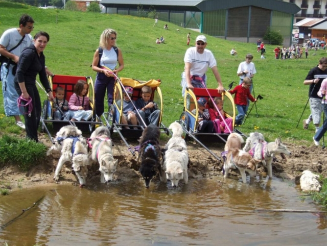  Mushing with family 